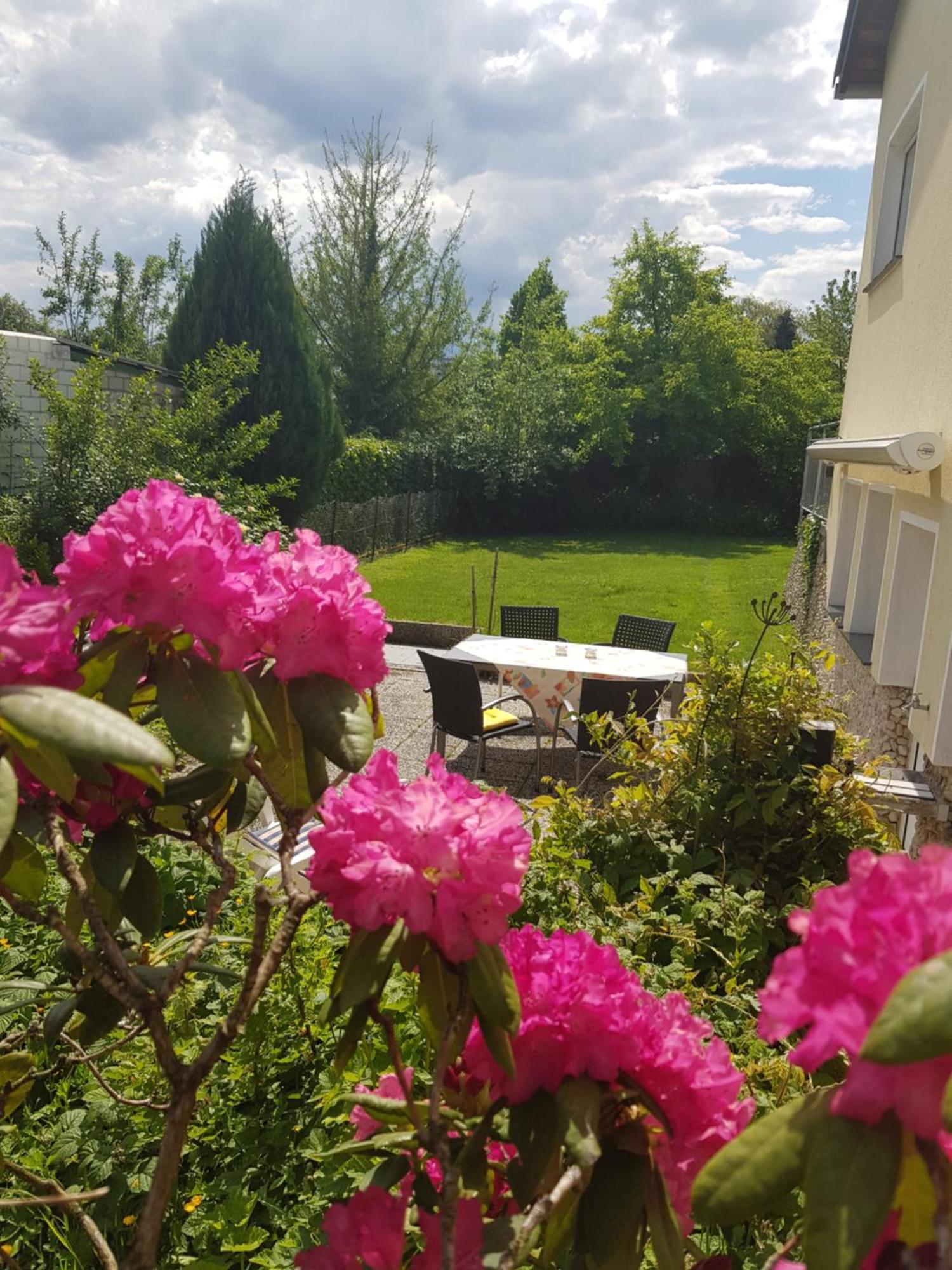 Ferienwohnung Im Rurtal Kreuzau エクステリア 写真