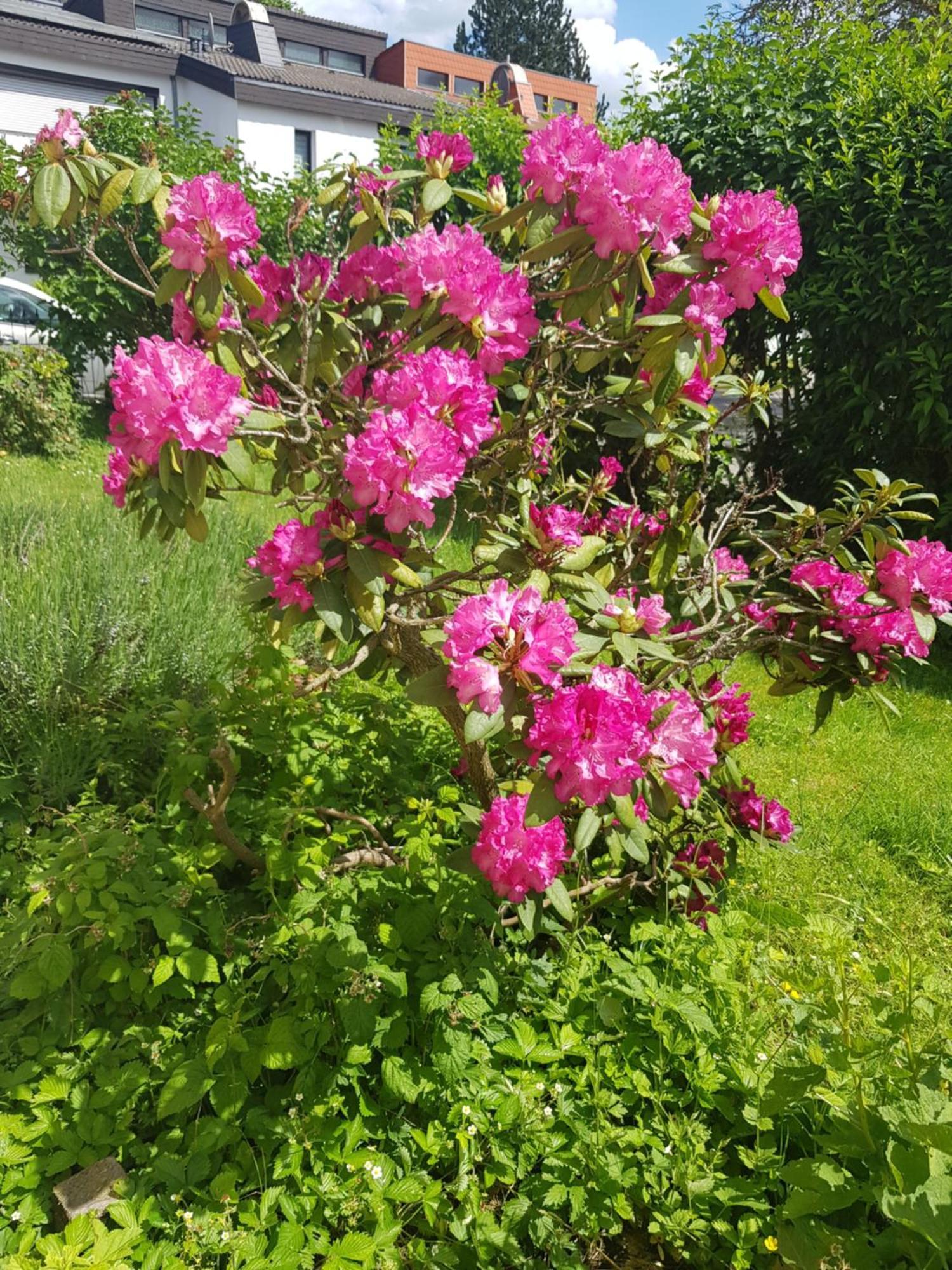 Ferienwohnung Im Rurtal Kreuzau エクステリア 写真